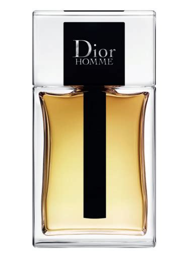 dior homme donna|christian dior homme 2020.